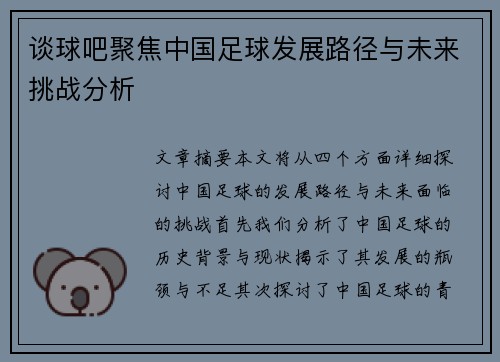 谈球吧聚焦中国足球发展路径与未来挑战分析